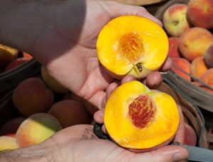 Őszibarack lekvár készítése – Hogyan csináld?