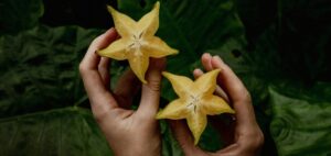 Tudnivalók a karambola gyümölcsről