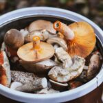 Így válhatunk magabiztos gombászokká az őszi szezonban