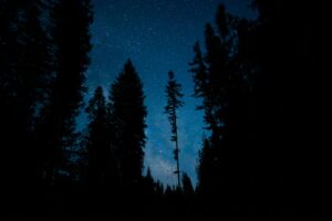 Így fedezhetjük fel az éjszakai égbolt legszebb látnivalóit akár egyetlen távcső nélkül is